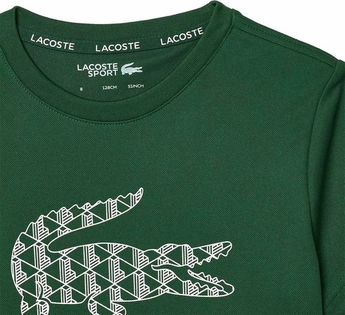 LACOSTE-T-Shirt Lacoste Junior Vert-2