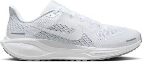 NIKE-Pegasus 41-0