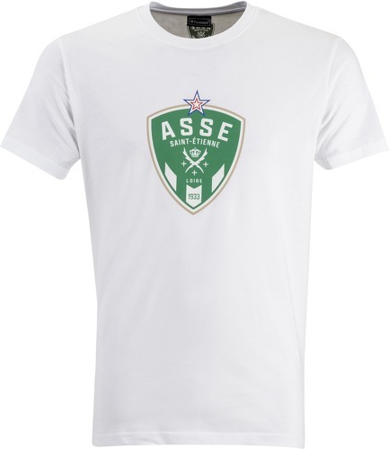 HUMMEL-T-shirt ASSE 2022/23 Fan Green-0