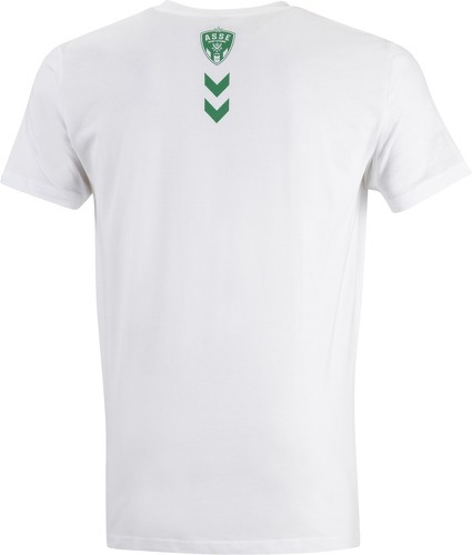 HUMMEL-T-shirt ASSE 2022/23 Fan Green-2