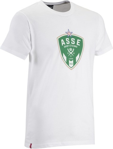 HUMMEL-T-shirt ASSE 2022/23 Fan Green-1