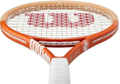 WILSON-ROLAND GARROS TEAM (249 g) 2024-3