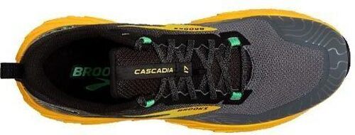 Brooks-Cascadia 17-1