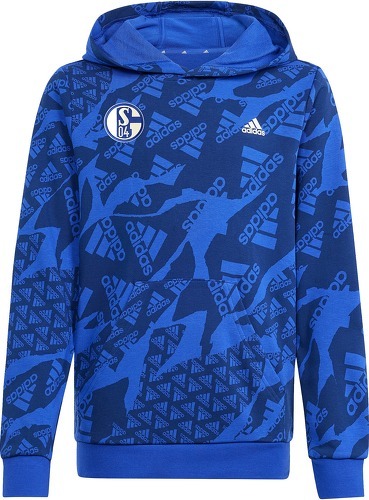 adidas-FC Schalke 04 Camlog Sweat à capuche-image-1