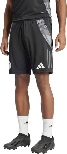 adidas-Short Training Algérie Tiro 24 Competition-2