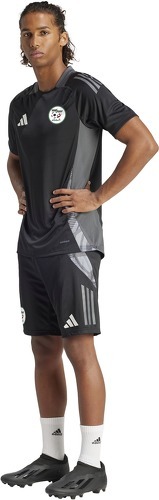 adidas-Short Training Algérie Tiro 24 Competition-3