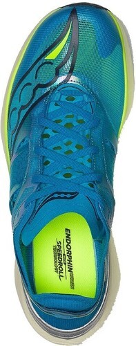 SAUCONY-Endorphin Elite-4