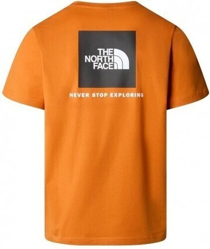 THE NORTH FACE-M S/S REDBOX TEE-0