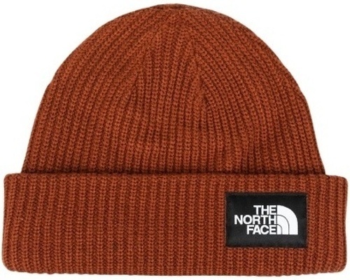 THE NORTH FACE-Salty Dog Lined Beanie-0