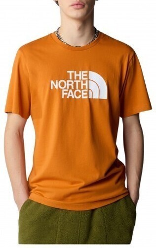 THE NORTH FACE-M S/S EASY TEE-0