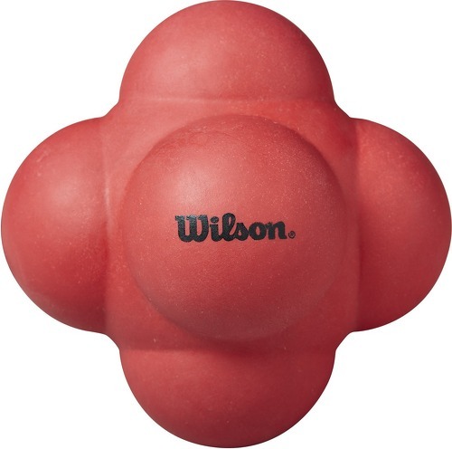 WILSON-Balle de tennis Wilson Reaction-3