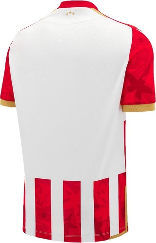 MACRON-Roter Stern Belgrad Maglia Home 2024/2025-1