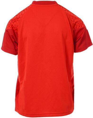 PUMA-Maillot Training Pro 23 24-1