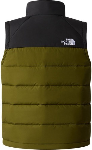 THE NORTH FACE-TEEN CIRCULAR  VEST-1