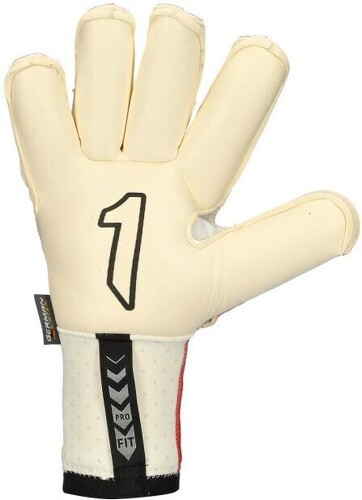 Rinat-Rinat Nkam Pro-2