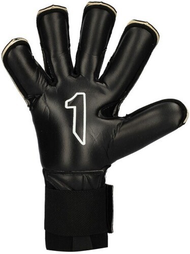 Rinat-Rinat Santoloco-2