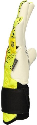 Rinat-Rinat Xtreme Guard Dominius Alpha-1