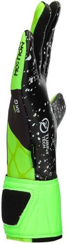 Rinat-Rinat Xtreme Guard Dominius AS-1