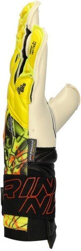 Rinat-Rinat Xtreme Guard Dominius Pro-1