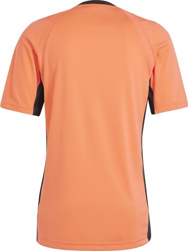 adidas Performance-Maillot arbitre 24-1