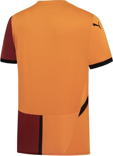 PUMA-Puma Galatasaray 2024 2025 Accueil-1