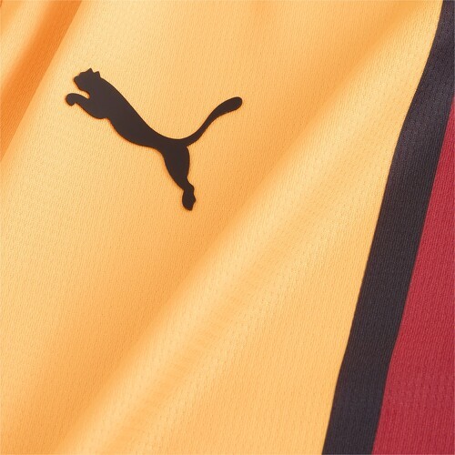 PUMA-Puma Galatasaray Maillot Domicile 2024 2025-3