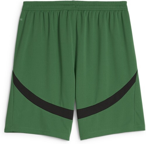 PUMA-Short 24/25 Borussia Mönchengladbach Homme-1