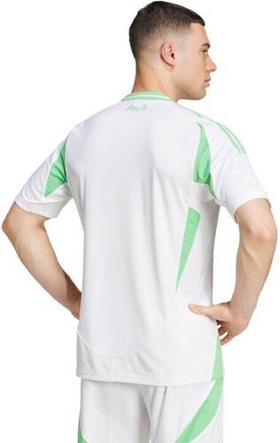 adidas-Adidas Home D'Algeria Coppa D'Africa 2024-1