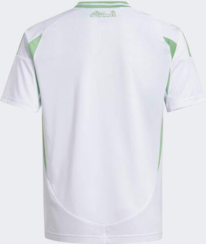 adidas-Algerien maillot domicile 2024-4