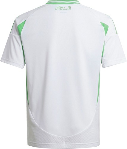 adidas-Algerien maillot domicile 2024-1