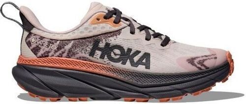 HOKA ONE ONE-Challenger 7 Gtx-0