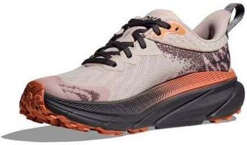 HOKA ONE ONE-Challenger 7 Gtx-2