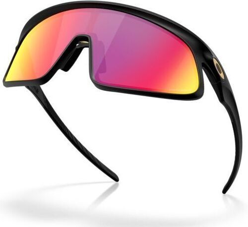 OAKLEY-RSLV (Prizm Road)-3