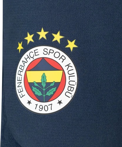 PUMA-Short d'entraînement Fenerbahçe 2024/25-2