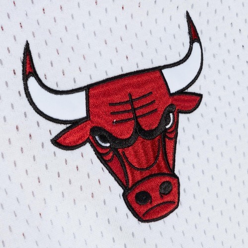 Mitchell & Ness-Mitchell & Ness Fashion Mesh Jersey - Chicago Bulls-2