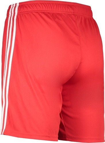 adidas-1. FC Union Berlin short domicile  22/23-1