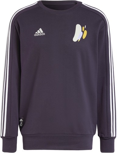 adidas-Sweatshirt Real Madrid DNA 2024/25-0