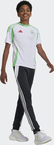 adidas-Algerien maillot domicile 2024-3