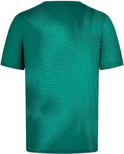 ASTON MARTIN F1 TEAM-T-shirt Burst Active de l'équipe Aston Martin F1 Officiel Vert Homme/Unisexe-0