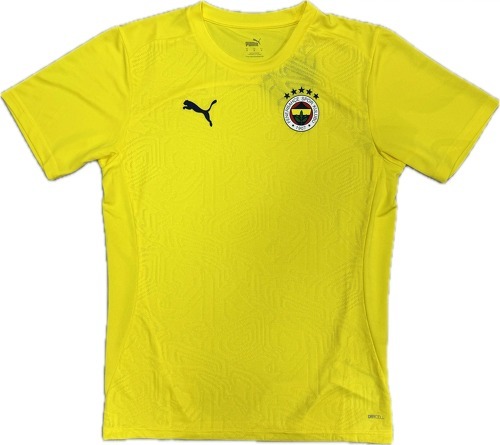 PUMA-Maillot D'Entraînement Fenerbahçe 2024/25-0