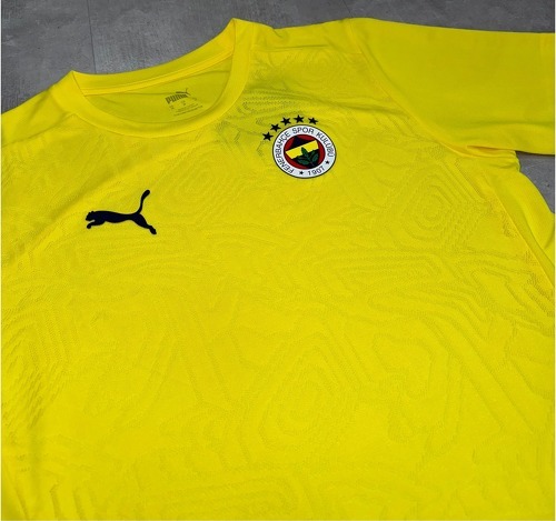 PUMA-Maillot D'Entraînement Fenerbahçe 2024/25-2