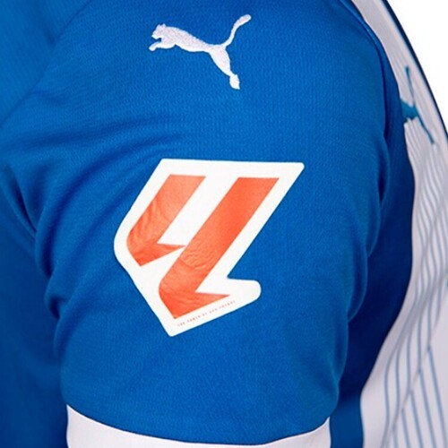 PUMA-Puma Alavés Domicile 2024 2025-3