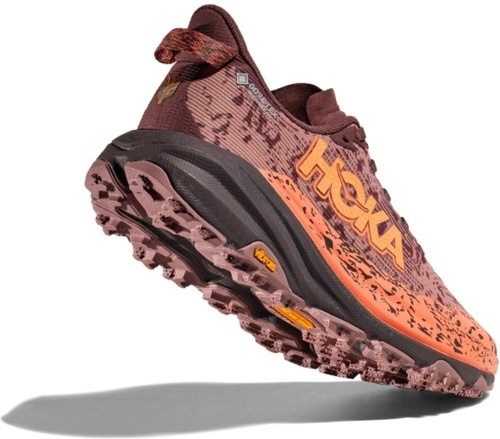 HOKA ONE ONE-Speedgoat 6 Gtx-2