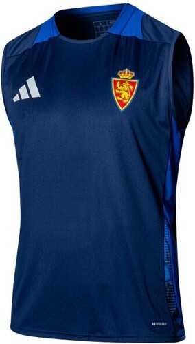 adidas-adidas Real Zaragoza Entraînement 2024-2025-1