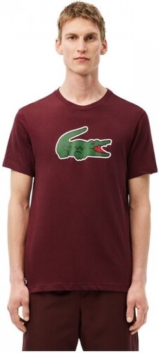 LACOSTE-ULTRA DRY Bordeaux AH 2024-2