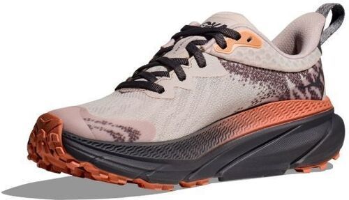 HOKA ONE ONE-Challenger 7 Gtx-2