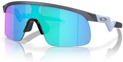 OAKLEY-Resistor Steel (Prizm Sapphire)-0