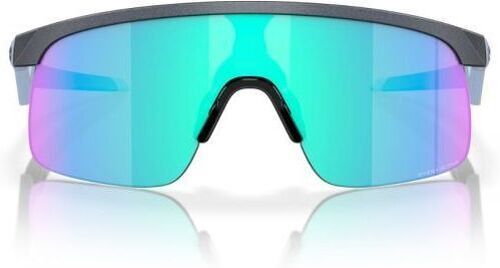 OAKLEY-Resistor Steel (Prizm Sapphire)-1