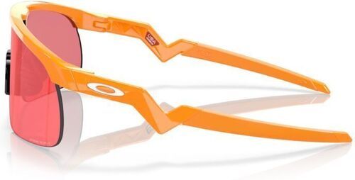 OAKLEY-Resistor (Prizm Trail Torch)-2