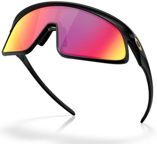 OAKLEY-RSLV (Prizm Road)-3